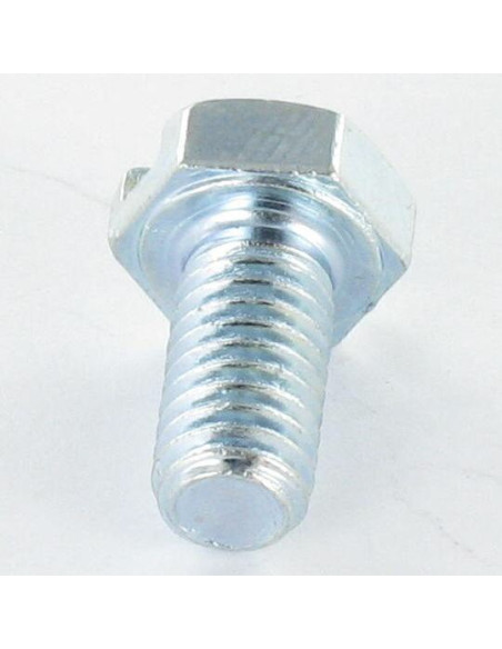 1 x Vis métaux Tête hexagonale TH M6X8 Fendue Acier zingué