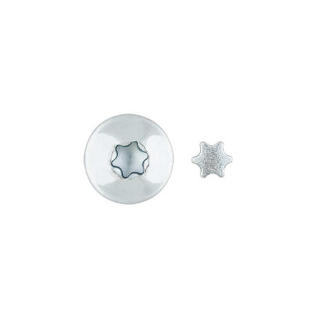 1 x Vis Penture Inviolable 2 pièces TORX Inox A2 7X50 Inox A2