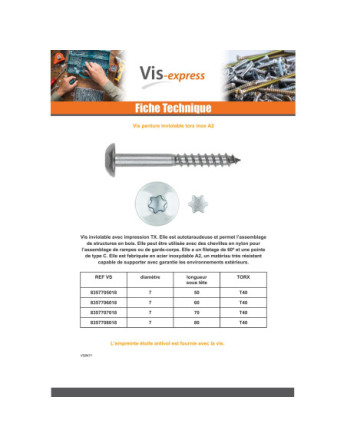 Vis Penture Inviolable 2 pièces TORX Inox A2 7X50 Inox A2
