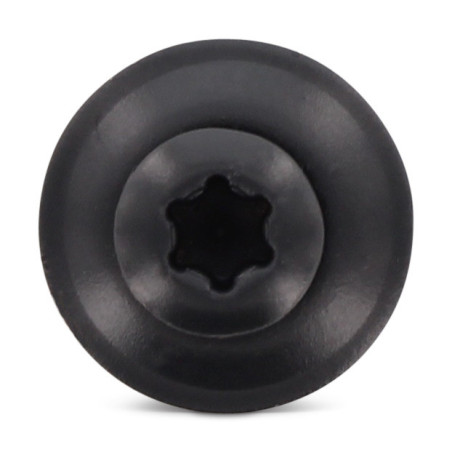 1 x Vis faitage Tête fraisée bombée TFB TORX T20 Inox A2 RAL7016 gris anthracite 4.5X120RD.EPDM