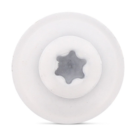 1 x Vis faitage Tête fraisée bombée TFB TORX T20 Inox A2 RAL9010 blanc pur 4.5X60 Rondelle d'étanchéite EPDM