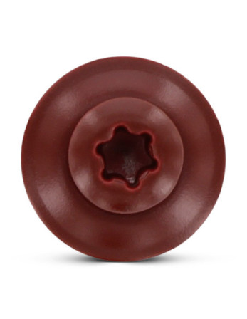 Vis faitage Tête fraisée bombée TFB TORX T20 Inox A2 RAL3009 rouge oxyde 4.5X35 Rondelle d'étanchéite EPDM