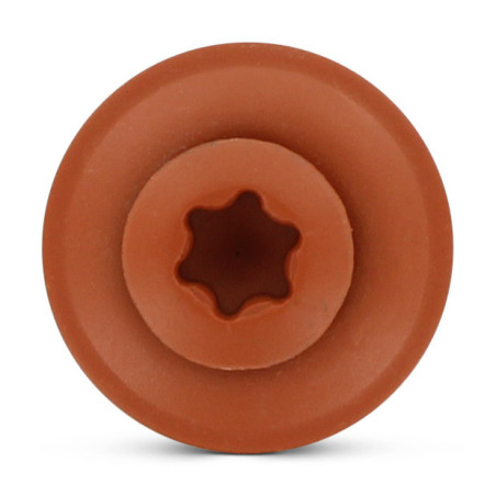 1 x Vis faitage Tête fraisée bombée TFB TORX T20 Inox A2 RAL8004 brun cuivre 4.5X60 Rondelle d'étanchéite EPDM