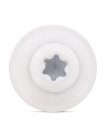 Vis faitage Tête fraisée bombée TFB TORX T20 Inox A2 RAL9010 blanc pur 4.5X80 Rondelle d'étanchéite EPDM