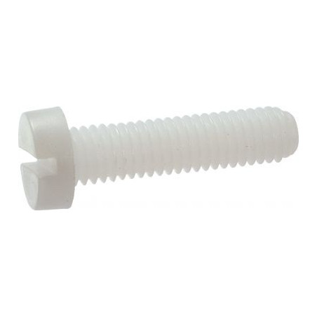 1 x Vis métaux Tête cylindrique large TCL Fendue M12X16 nylon naturel