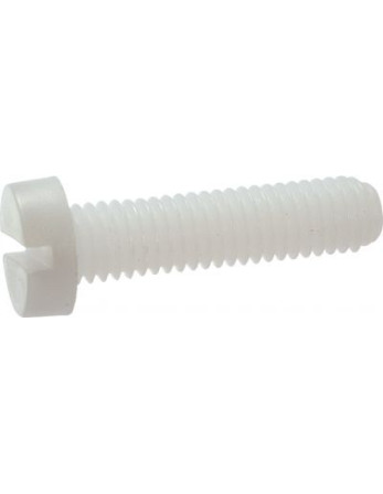 Vis métaux Tête cylindrique large TCL Fendue M6X6 nylon naturel