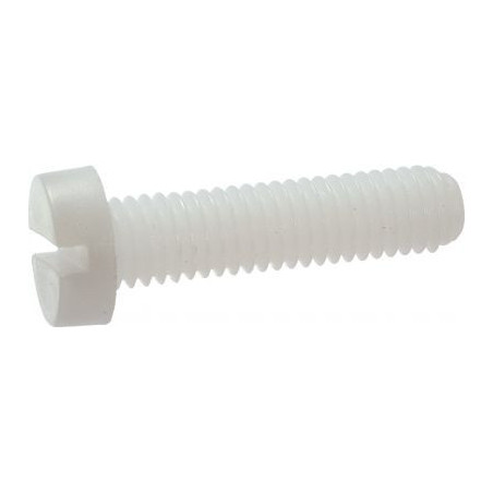 1 x Vis métaux Tête cylindrique large TCL Fendue M6X16 nylon naturel