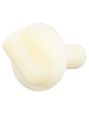Vis VIOLON Nylon M10X25 Type à