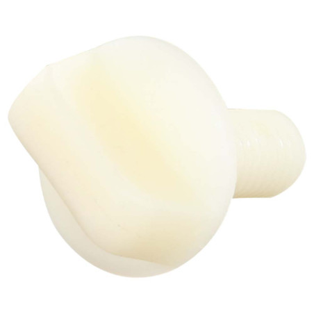 1 x Vis VIOLON Nylon M10X25 Type à
