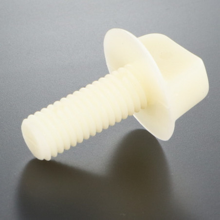 1 x Vis VIOLON Nylon M10X25 Type à