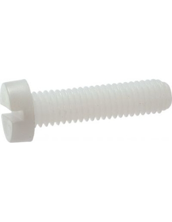 Vis métaux Tête cylindrique TC Fendue M6X50 Polyamide 6.6 nylon naturel