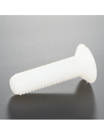 Vis métaux Tête fraisée bombée TFB Fendue M5X40 nylon naturel