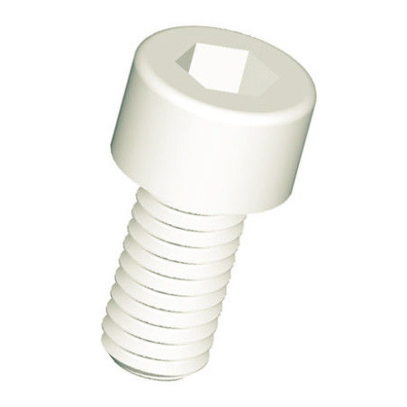 1 x Vis métaux CHC BTR Clé de 10 HC10 M12X30 nylon naturel