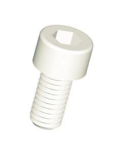 Vis métaux CHC BTR Clé de 10 HC10 M12X60 nylon naturel