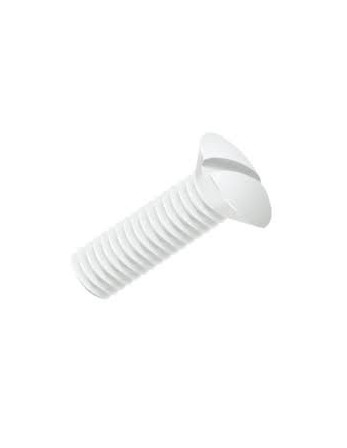 Vis métaux Tête fraisée bombée TFB Fendue M8X60 nylon naturel