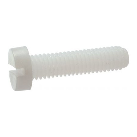 1 x Vis métaux Tête cylindrique TC Fendue M12X60 nylon naturel