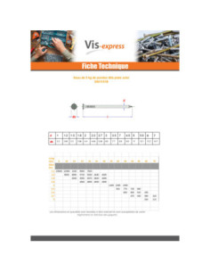 Kg de pointes Acier brut Tête plate 2.4X50 2