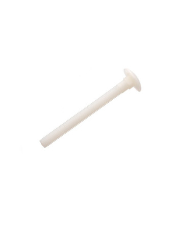 Vis métaux tête ronde collet carré M6X30 nylon naturel