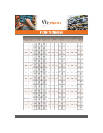Filet rapporté M12X18 Pas fin Pas de 100 Inox