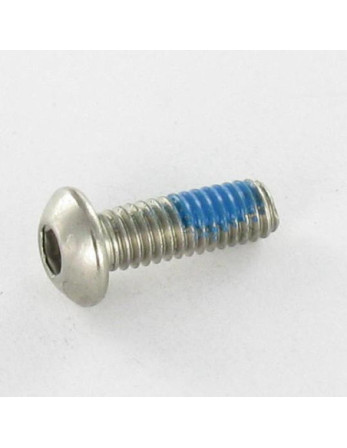Vis métaux Inox A2 BHC (Tête Bombée Hexagonal creux) M8X20 Filetage total Clé de 5 HC5 + Frein filet