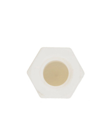 Ecrou Borgne nylon naturel Polyamide 6.6 M3