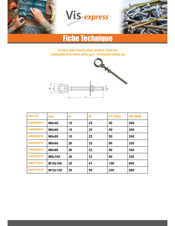 Piton à Oeil Fileté M6X40 Avec Ecrou Inox A4