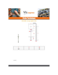 Ancrage REGLABLE 110X8 Acier zingué 2