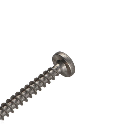 1 x VBA Vis bois agglo Inox A2 Tête ronde TR Pozi 5X80