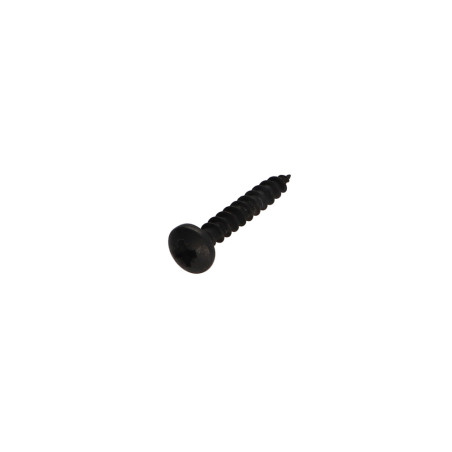 1 x VBA Vis bois agglo Inox A2 Noir Tête ronde TR Pozi 4X25