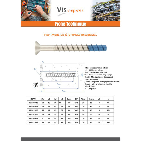 1 x Vis béton Tête fraisée TORX T45 8X60 Bimétal