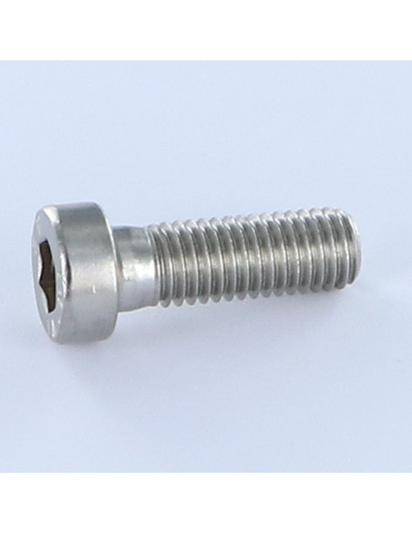1 x Vis métaux CHC BTR BASSE/TROU Clé de 2.5 HC2.5 Inox A2 M4X10