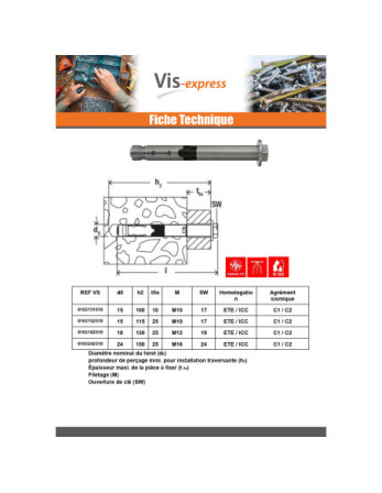 Cheville Inox Fischer FH II 10/10 S R