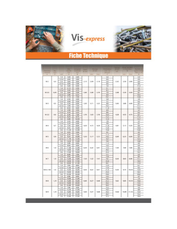 Filet rapporté M7X21 Pas de 100 Inox