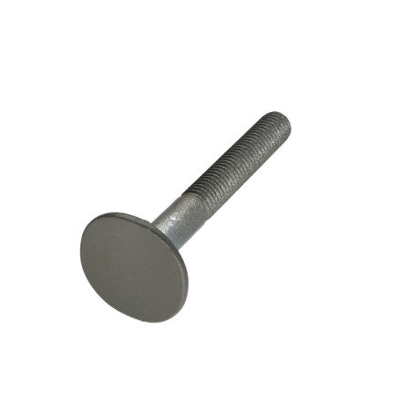 1 x Vis Tête fraisée LARG 4ERGOT10X80 RAL7023 30%BRILL