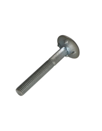 Vis Tête fraisée LARG 4ERGOT10X80 RAL7023 30%BRILL