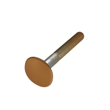 1 x Vis PLAN Tête fraisée LARG 4ERGOT10X80 Acier zingué RAL1011M