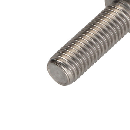 1 x Vis métaux Tête cylindrique TC TORX T50 Inox A2 M10X30 Filetage total