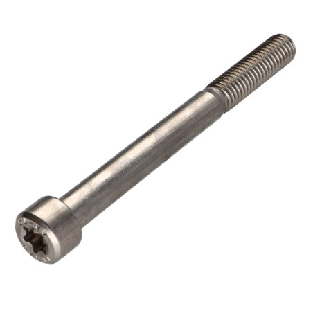 1 x Vis métaux Tête cylindrique TC TORX T50 Inox A2 M10X100 Filetée sur 32