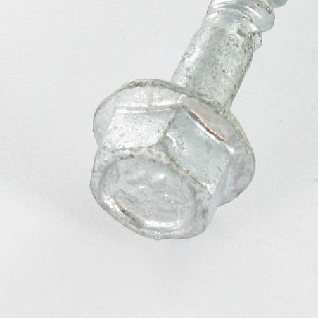 1 x Vis à bourrer Forte tenue à la corrosion Acier galvanisé à chaud Tête ronde TR Fendue 5X60 R23260
