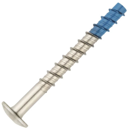 1 x Vis béton Tête Bombée TORX TORX T30 6X60 Bimétal