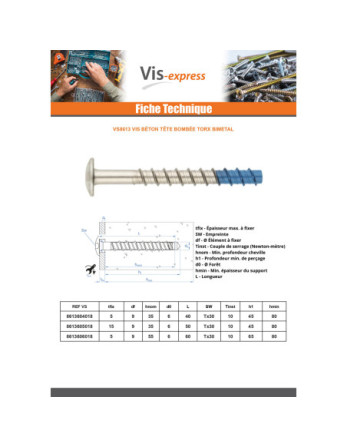 Vis béton Tête Bombée TORX TORX T30 6X50 Bimétal