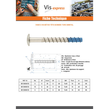 1 x Vis béton Tête Bombée TORX TORX T30 6X50 Bimétal