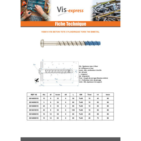 1 x Vis béton Tête cylindrique TC TORX T40 6X80 Bimétal