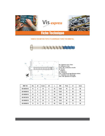 Vis béton Tête cylindrique TC TORX T40 6X100 Bimétal