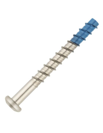 Vis béton Tête cylindrique TC TORX T40 6X60 Bimétal