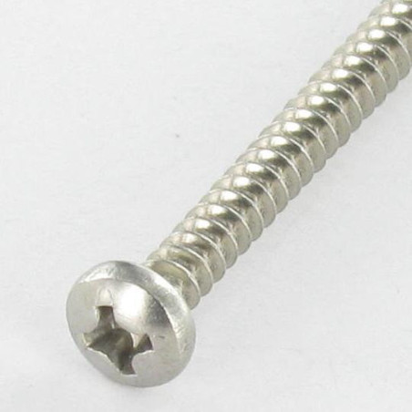 1 x Vis tôle tête cylindrique bombée large Phillips 4.2X6.5 Inox A2