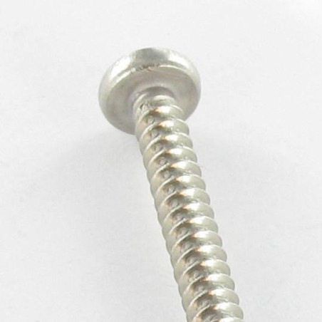 1 x Vis tôle tête cylindrique bombée large Phillips 4.2X6.5 Inox A2