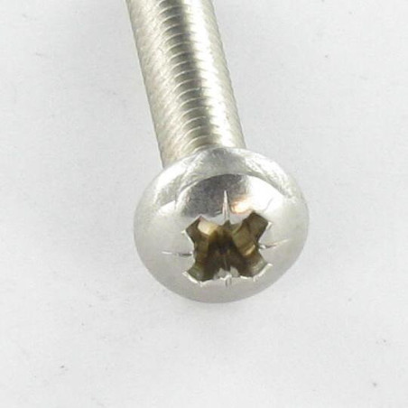 1 x Vis autotaraudeuse Tête cylindrique bombée TCB M4X20 Pozi N°2 Inox A2