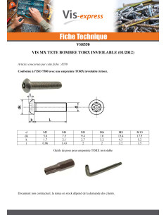 Vis métaux Inox A2 Inviolable Tête bombée TORX T30 avec...