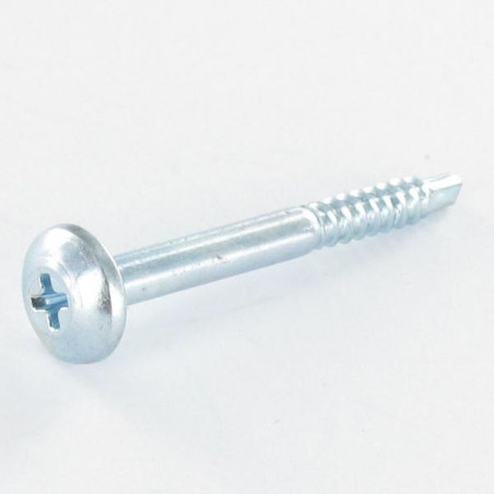 1 x Vis autoperceuse Tête cylindrique bombée TCB Phillips 2.9X29 Acier zingué